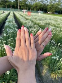 Cropped image of holding hands