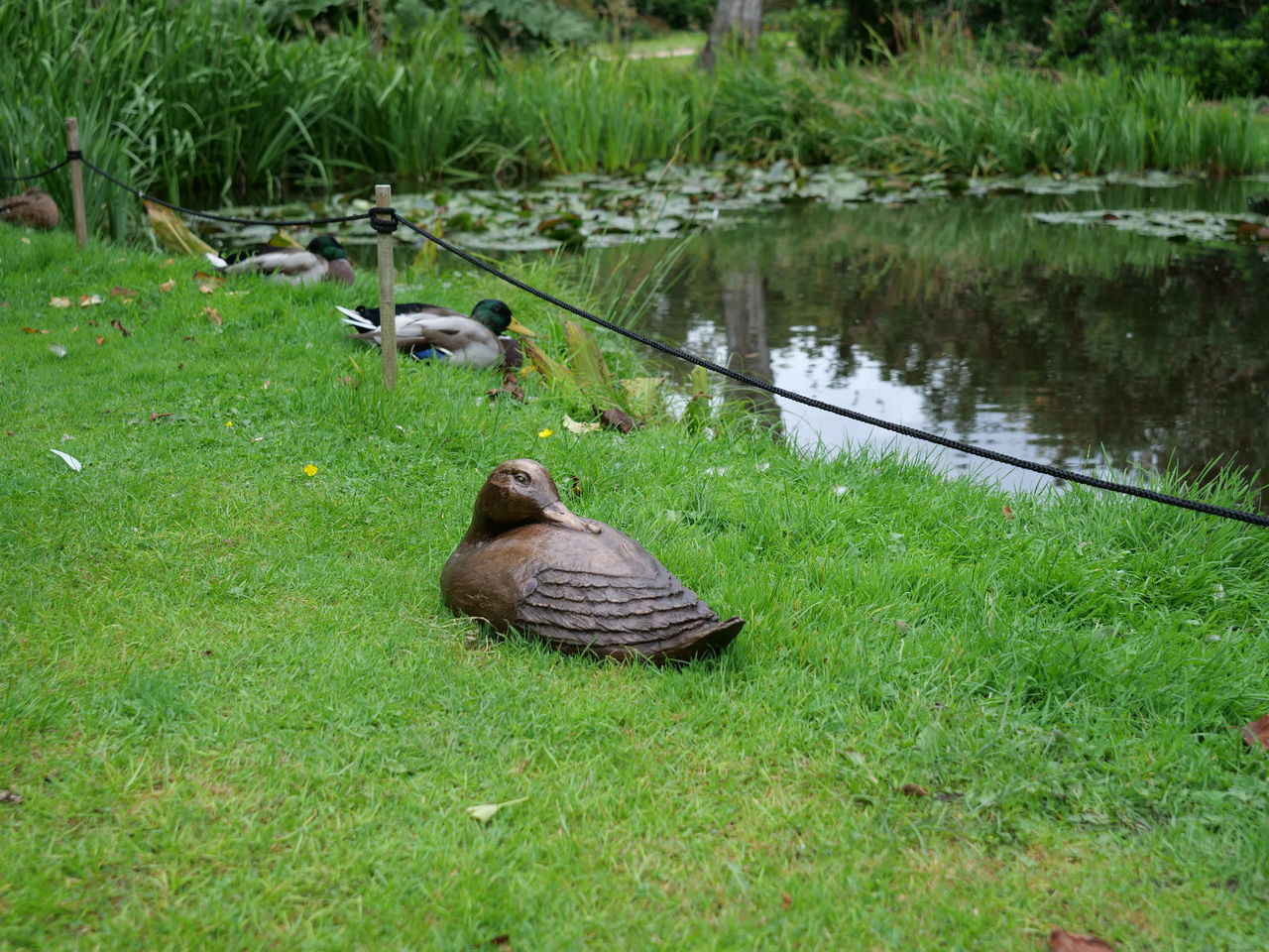 SculptureTrail