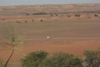 Scenic view of desert