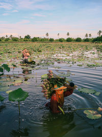 High angle view of people holding lotus water lilies in lake