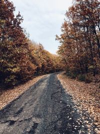 Road amidst trees against sky during autumn