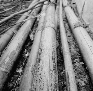 Full frame shot of bamboo