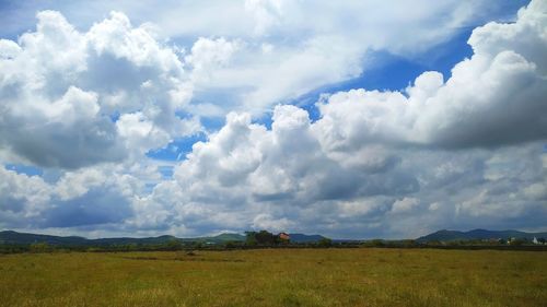 Scenic view of field against sky