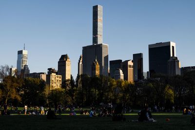 Skyscrapers in park