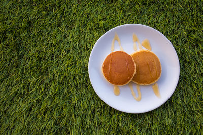 Directly above shot of food in plate on field