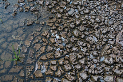 Full frame shot of drought field