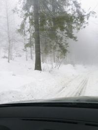 Trees on snow covered landscape