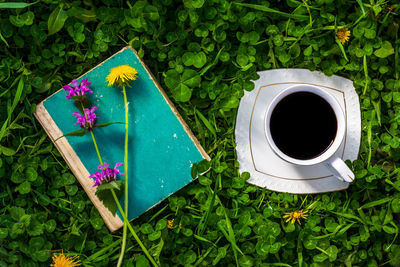 High angle view of coffee on field