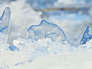 Close-up of snow on land