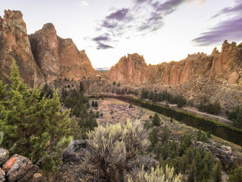 Scenic view of landscape