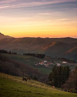 Scenic view of field against sky during sunset