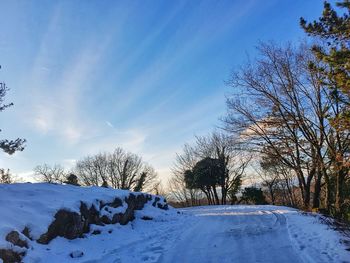 Snow covered trees against sky