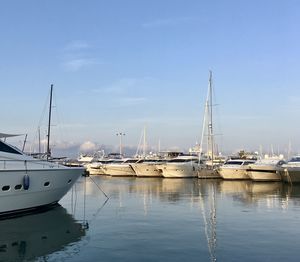 Sailboats moored at harbor against sky