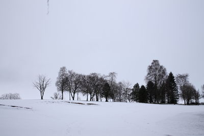 Trees on snow covered field against sky