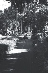 Car on street by trees against sky