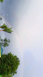 rainbow