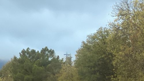 Low angle view of trees against sky