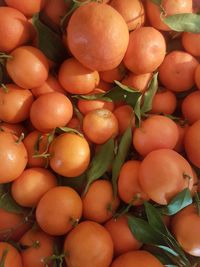 Full frame shot of fruits for sale in market