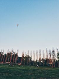 Scenic view of field against clear sky