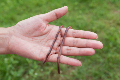Cropped hand of woman holding earthworms on land