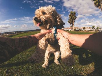 Cropped hands of man holding dog over field against sky