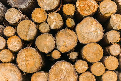 Full frame shot of logs