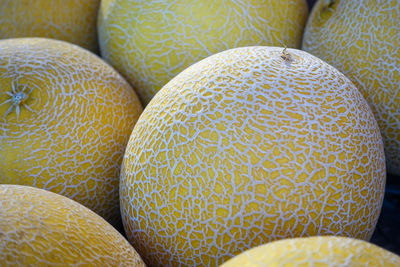 Close-up of bananas