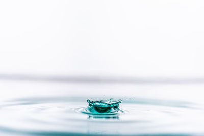 Close-up of water drop against white background