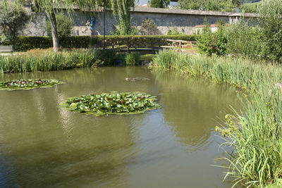 Scenic view of lake