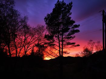 Low angle view of silhouette trees against sky during sunset