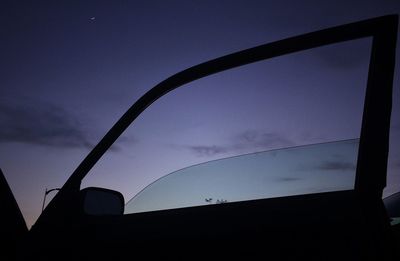 Low angle view of silhouette plant against sky at night