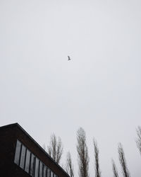 Low angle view of bird flying against clear sky