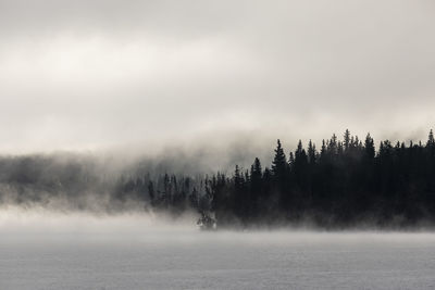 Thick mist over calm lake and tree lined shore during sunrise