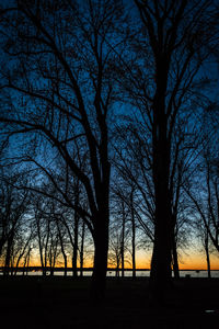 Silhouette bare trees on landscape against sky at night