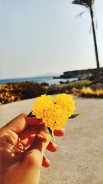 Close-up of hand holding leaf at beach