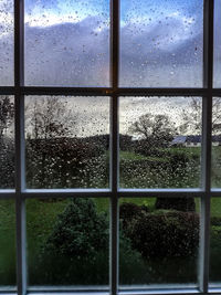 Close-up of glass window against trees