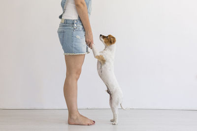Low section of woman with dog standing against wall