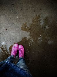 Low section of person standing in puddle