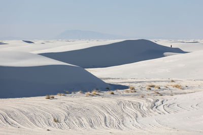 Gypsum sand dunes in white sands national park