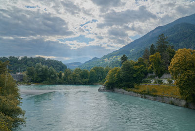 Scenic view of river amidst trees against sky