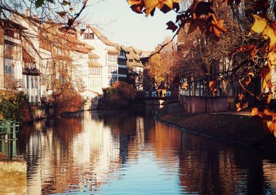 Reflection of trees in river during autumn