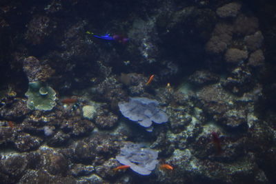 High angle view of clouds over sea