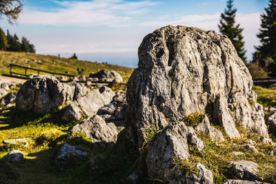 Close-up of rock formation on land against sky