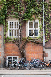 architecture