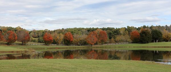 Scenic view of lake by trees against sky