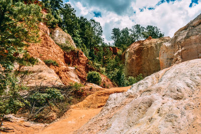 Rock formation amidst trees against sky