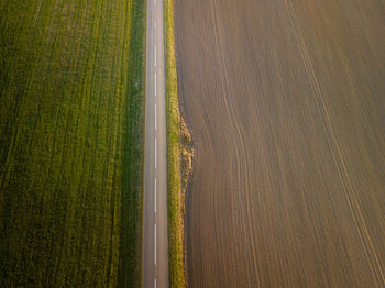 High angle view of agricultural field