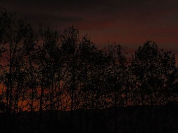 Low angle view of silhouette trees against sky at sunset