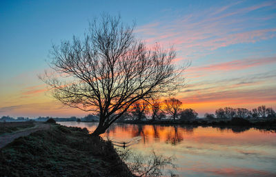 Bare tree by lake against sky during sunset