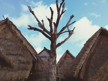 Low angle view of bare tree against sky